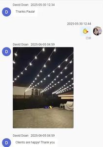 Guirnalda de Luces LED de Alta Resistencia con Cable de 10 m para Jardín, Iluminación de Terraza, Blanco Cálido 2700K para Navidad - Product Image 3