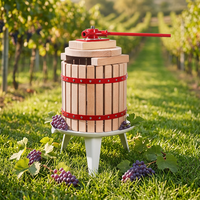 Best verkochte 12L automatische industriële spiraalvormige koude pers commerciële sapcentrifuge machine voor mango, sinaasappelsap en ander fruit