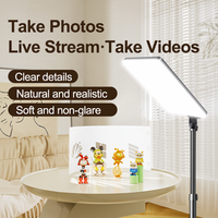Panneau lumineux LED BeiYang 19 pouces 85W à température de couleur réglable pour studio, portrait, diffusion en direct, avec application, en plastique