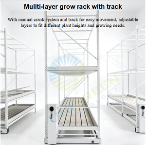 Customized Vertical Indoor Farming Greenhouses Double Layers Growing <b>Rack</b> Ebb and Flow Rolling Benches 4*8FT Hydroponic Grow - Product Image 5