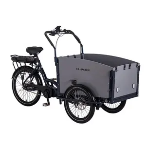 Steel frame cargo bike 250W mid motor cargo bike tricycle electric with wood box