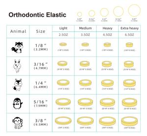 Lapin orthodontique Zoo Pack Bandes élastiques dentaires Produit d'hygiène buccale polyvalent Bandes élastiques en caoutchouc pour l'<span class=keywords><strong>orthodontie</strong></span> - Product Image 4