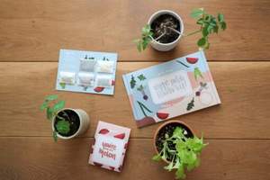 Veggie Patch Country Starter Kit Square Multi-Pack Juego de plantas para jardín Incluye lechuga Sandía <span class=keywords><strong>Remolacha</strong></span> Uso del piso colgante - Product Image 3