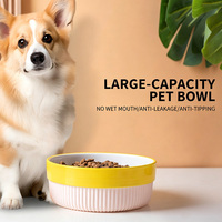 Bol d'alimentation pour animaux de compagnie en céramique à rayures verticales, base antidérapante en silicone amovible, plat à double usage pour nourriture et eau pour chaton et chiot