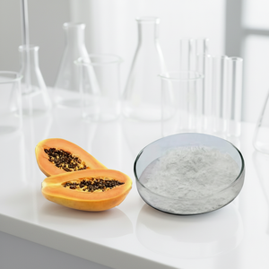 Poudre d'enzyme de papaïne biologique - Product Image 4