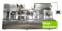 Machine de remplissage, bouchage et scellage entièrement automatique électrique PLC à engrenages pour jus de bouleau, avec remplissage par voie supérieure (BW-3000) – Garantie 1 an