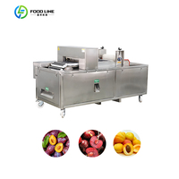 Efficiëntieverhogende Mangozaadverwijderaar Machine Grootschalig Fruitreiniger Apparaat Om Scheidende Verwerkingsmachines Te Verwijderen