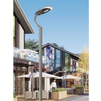 Lampe de rue LED extérieure IP65, lampe de jardin 30W 60W AC85-265V, lumière élégante moderne 6000K PC Aluminium