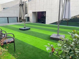 <span class=keywords><strong>Gazon</strong></span> artificiel vert éternel, tapis d'herbe <span class=keywords><strong>pas</strong></span> <span class=keywords><strong>cher</strong></span>, <span class=keywords><strong>rouleau</strong></span> <span class=keywords><strong>de</strong></span> <span class=keywords><strong>gazon</strong></span> en plastique, tapis d'herbe écologique, pelouse artificielle - Product Image 2