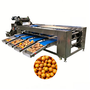 Machine de tri et de calibrage pour agrumes, oranges, mangues, avocats, citrons, kinnows, mangoustans, kiwis, tomates, pommes de terre, oignons, pommes, fruits du dragon et fruits de la passion - Product Image 1