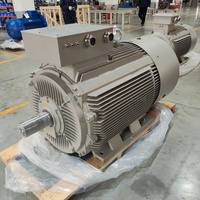 Moteur à induction à cage d'écureuil refroidi par air haute efficacité 220V 380V 250kW 315kW 500kW IP55 pour l'exploitation minière et la métallurgie