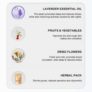 เครื่องพ่นไอน้ำนาโนอิออนิกสำหรับผิวหน้า ระบบทำความสะอาดภายในง่าย-มืออาชีพ ละอองน้ำอุ่น ทำความสะอาดรูขุมขนอย่างล้ำลึก สำหรับสปาและร้านเสริมสวย - Product Image 6