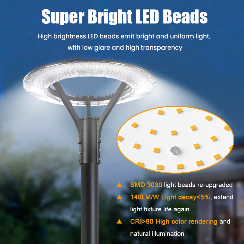 Outdoor LED Garden Light 60W Aluminum Alloy 220V High Efficiency Energy Saving IP65 Dimmable 2-Year Warranty for Garden Floor