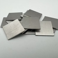 Plaque de platine 99,95 % pure, forme rectangulaire ou ronde, pour usage médical et laboratoire, tablette de platine haute pureté 99,95 %