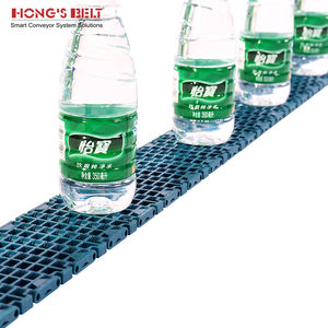 Hongsbelt F1000-84B-GB su ve meyve sıralayıcı plastik zincirli konveyör makinesi - Product Image 2