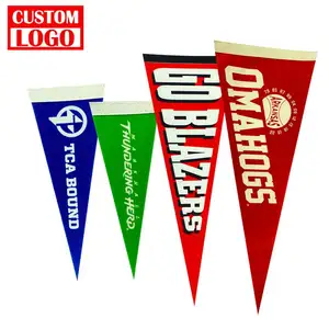 Vollfarbdruck 30 × 45 cm Schulaktivität mehrfarbiger Filzstoff Pennant-Flaggespann für Schulteam