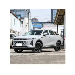 새로운 디자인 인기있는 자동차 Exeed Rx Awd 가솔린 자동차 SUV 2.0t 낮은 버전