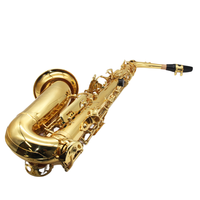 Hot Sale Professional Brass Lacquered Gold Alto Saxophone Eb Key Woodwind Instrument Saxophone with Accessories