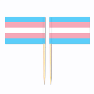 Drapeau de sélection de dents double face en bambou, impression papier trans sexuelle - Product Image 1