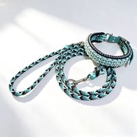 Ensemble de colliers et de laisses pour chien en paracorde tressé, doublure rembourrée, perles métalliques, boucle en cuir, fermeture à sécurité, personnalisable pour tous les chiens