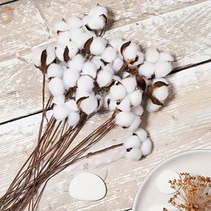Tiges de fleurs en coton naturel, bouquet artificiel séché, décoration rustique pour la maison, style <span class=keywords><strong>Instagram</strong></span> - Product Image 5