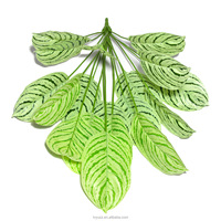 Tanaman Artifisial Terlaris Daun Calathea Orbifolia Plastik Buatan Tangan 65CM Ramah Lingkungan Tanaman Pot Natal untuk Meja Kerja Foto