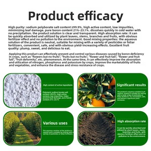Fertilizante <span class=keywords><strong>de</strong></span> Boro en Polvo para Árboles Frutales, Fertilizante <span class=keywords><strong>Foliar</strong></span> <span class=keywords><strong>de</strong></span> Boro que Promueve la Estabilidad <span class=keywords><strong>de</strong></span> la Floración y la Fructificación, Aumenta la Producción <span class=keywords><strong>de</strong></span> Frutos - Product Image 5