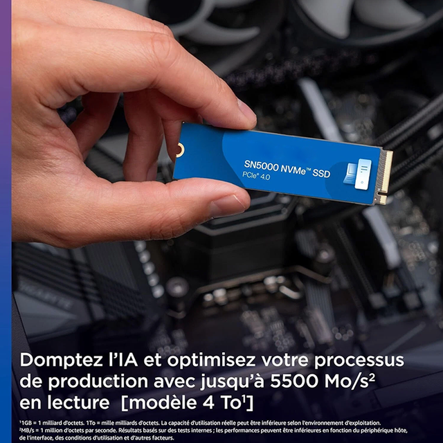 WDS100T4B0E 1TB M.2 2280 NVMe PCIe Gen4 SSD WDS100T4B0E Internal Solid State Drive High Speed Storage Supplier
