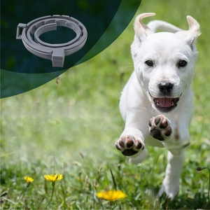 Collar Calmante para Perros, Reduce la Ansiedad de las Mascotas, Aceite Esencial Natural, Efecto Duradero, Suministro de Fábrica - Product Image 2