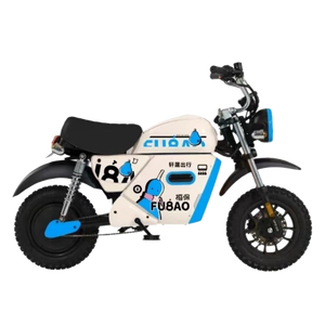 Moto elettrica stile per il tempo libero per il turismo e l'esplorazione urbana noleggio - Product Image 2