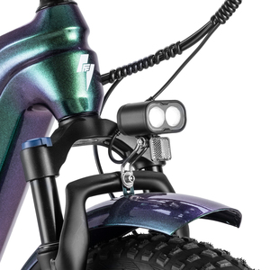 <span class=keywords><strong>Fafrees</strong></span> 20*4.0 "Pneu En Fiber De Carbone Ebike Suspension Avant 7 Vitesse 22.5Ah 500W 48V Commute Vélo De Ville Électrique <span class=keywords><strong>F20</strong></span> Master - Product Image 4