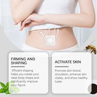 Patch Amincissant et Raffermissant au Venin d'Abeille OEM pour le Corps, Lifting Abdominal, Beauté de la Peau, Patch Nombril