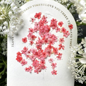 Incarnazione naturale Nail Dry Flower colorati fiori secchi decorazioni per Nail Art - Product Image 1