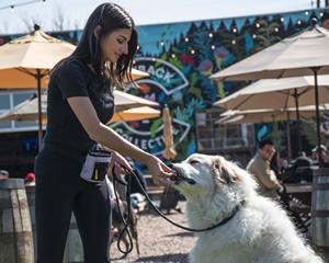 Échantillon gratuit de friandises pour chien, pochette d'entraînement pour chiot, conteneur de friandises pour promenade de chien, meilleur distributeur de jouets de randonnée, pochette pour friandises pour chien - Product Image 6