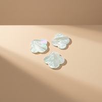Accessoires de bijoux personnalisés en nacre, perles de coquillages en vrac