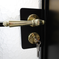 Porte française en alliage d'aluminium à double vitrage, design moderne, construction bien étanche, pour cave à vin, chambre, appartement, usage extérieur