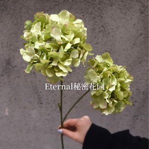 ดอกไฮเดรนเยียปลอมแบบสองหัว ขนาด 12 นิ้ว สำหรับตกแต่งงานแต่งงาน รุ่น Secret Garden - Product Image 3