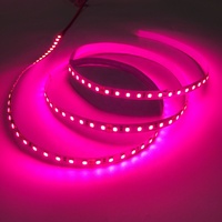 Bande lumineuse LED de culture à double couleur rouge et bleu, SMD 2835, 12 V CC, 12 volts, pour serres