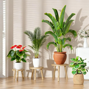 Lot de 3 tabourets pour plantes modernes du milieu du siècle support pour plantes intérieur extérieur porte-pot en <span class=keywords><strong>bois</strong></span> pour la décoration intérieure - Product Image 2