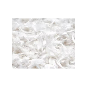 Nouvel arrivage de duvet de haute qualité 100% lavé, doux et propre, duvet et plumes de canard blanc, remplissage en gros pour couettes - Product Image 6