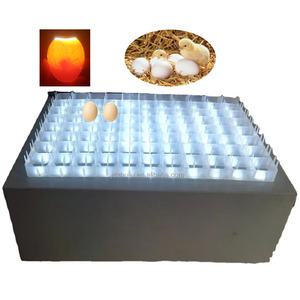 Tester Automatico per <span class=keywords><strong>Uova</strong></span> HJ-ECM per 88 <span class=keywords><strong>Uova</strong></span> - Product Image 1