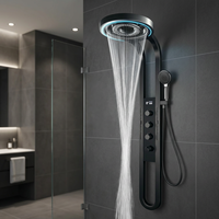 Panneau de douche mural contemporain de luxe noir multifonctionnel en acier inoxydable avec jet de massage doux et éclairage LED numérique