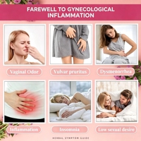 Meilleure Vente Étiquette Privée Herbes Détox Yoni Soin Vaginal pour Femmes à la Vapeur pour la Guérison