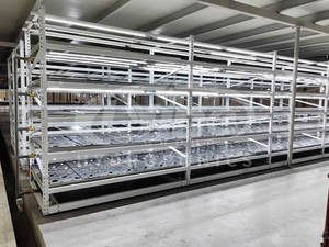 Banc de table Ebb and Flow Système de culture hydroponique à effet de serre personnalisé Plateau en ABS Table roulante EBB et Flood - Product Image 6