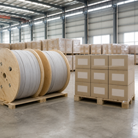 Câble WDZB1N-BYJ LSZH XLPE 450/750V Cuivre massif 90C B1 Résistant au feu Sans halogène Appareil électroménager GB 31247 IEC 60331