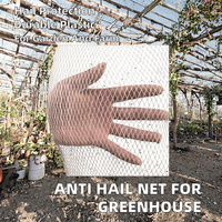 Filet anti-grêle et anti-oiseaux USKY en HDPE durable avec protection contre les insectes pour serres et jardins, tissage Leno, service de découpe