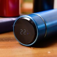 Flacon à vide de 500ml avec affichage de la température Bouteille d'eau intelligente en acier inoxydable 304 avec couvercle à LED