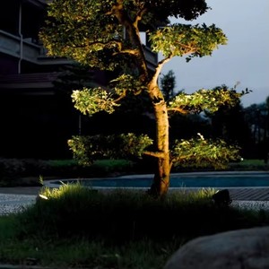 SENZHAO Outdoor Waterproof Garden Patio Lawn Ground <b>Plug</b> Decorative Landscape <b>Lights</b> - Product Image 2