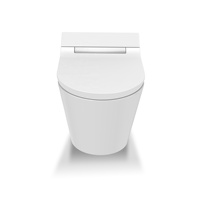 Siège de toilette intelligent électronique deux pièces pour l'entrée de la maison, abordable, avec fonction bidet