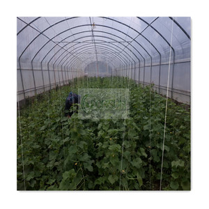 Película de plástico para invernadero, invernadero de plástico agrícola de doble capa, invernadero de un solo tramo - Product Image 3